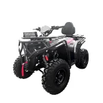 Квадроцикл Zeroair 200 E2