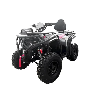 Квадроцикл Zeroair 200 E2