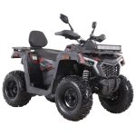 Квадроцикл MOTAX GRIZLIK T250 BASIC — изображение 2