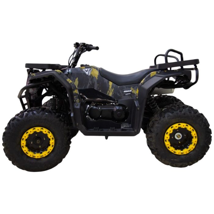 Квадроцикл MOTAX GRIZLIK W200 — изображение 2