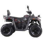 Квадроцикл MOTAX GRIZLIK T250 BASIC — изображение 3