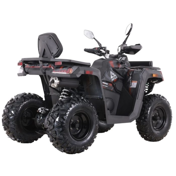 Квадроцикл MOTAX GRIZLIK T250 BASIC — изображение 5