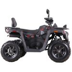 Квадроцикл MOTAX GRIZLIK T250 PRO — изображение 4