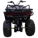 Квадроцикл MOTAX GRIZLIK W200 — изображение 4