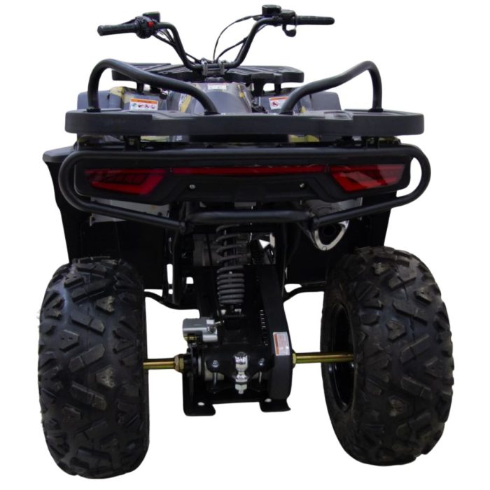 Квадроцикл MOTAX GRIZLIK W200 — изображение 4