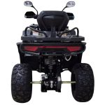 Квадроцикл MOTAX GRIZLIK W200 LUX — изображение 4