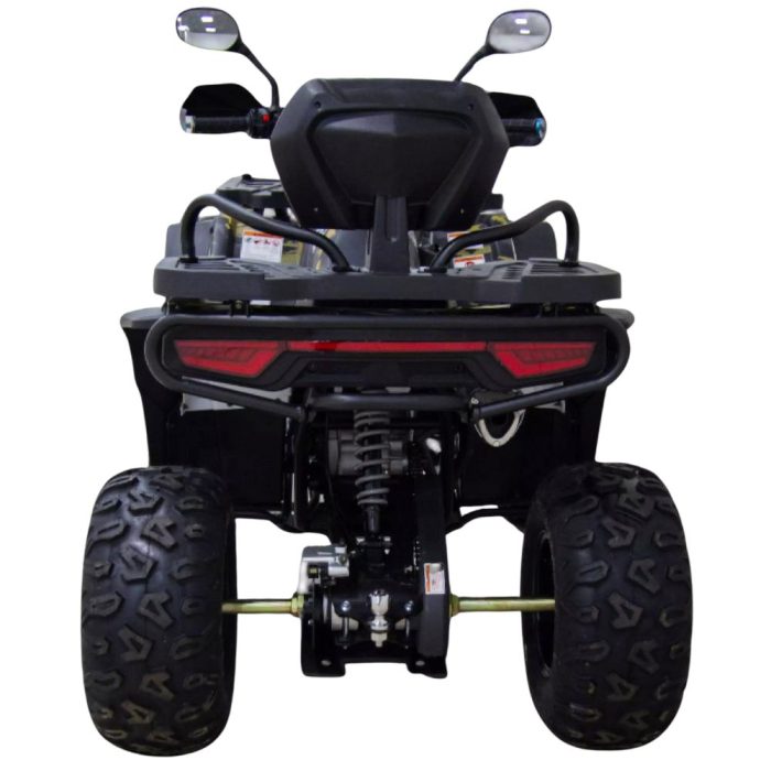 Квадроцикл MOTAX GRIZLIK W200 LUX — изображение 4