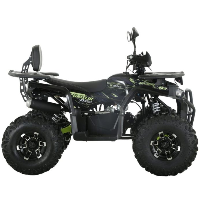 Квадроцикл MOTAX GRIZLIK D125 LUX — изображение 5
