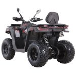 Квадроцикл MOTAX GRIZLIK T250 BASIC — изображение 6