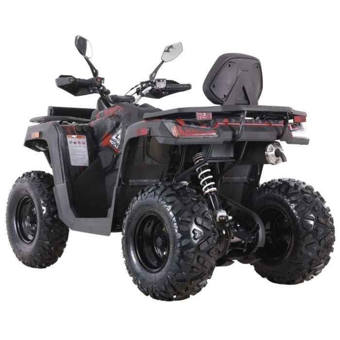 Квадроцикл MOTAX GRIZLIK T250 BASIC — изображение 6