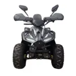 Квадроцикл Zeroair A2 125 — изображение 2
