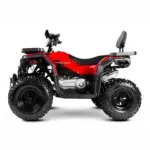 Квадроцикл PROGASI Race Jumper 200 — изображение 2