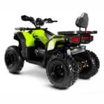 Квадроцикл PROGASI Race Jumper 200 SE — изображение 3