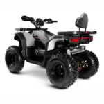Квадроцикл PROGASI Race Jumper 200 MAX POWER — изображение 3