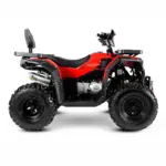 Квадроцикл PROGASI Race Jumper 200 — изображение 5
