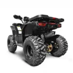 Квадроцикл ATEK ATV 200 MAX POWER — изображение 3