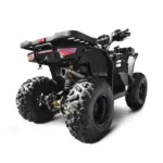 Квадроцикл ATEK ATV 200 MAX POWER — изображение 4