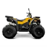 Квадроцикл ATEK ATV 200 SE — изображение 6